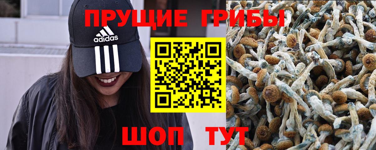 Галлюциногенные грибы прущие грибы Екатеринбург