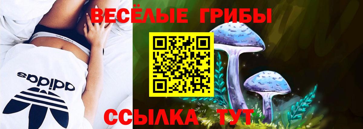 даркнет сайт  Вход с VPN  Екатеринбург  Галлюциногенные грибы мухоморы 